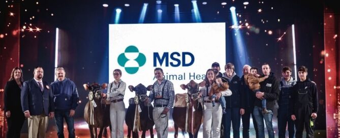 Cremona International Dairy Show 2025: ecco le vincitrici della razza Bruna