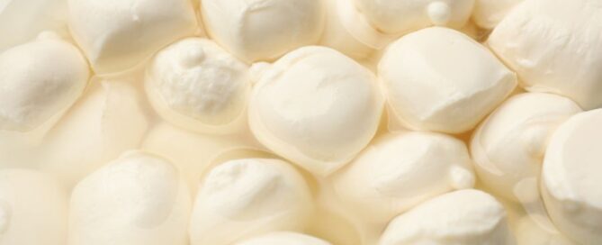Listeria-mozzarella-ricerca
