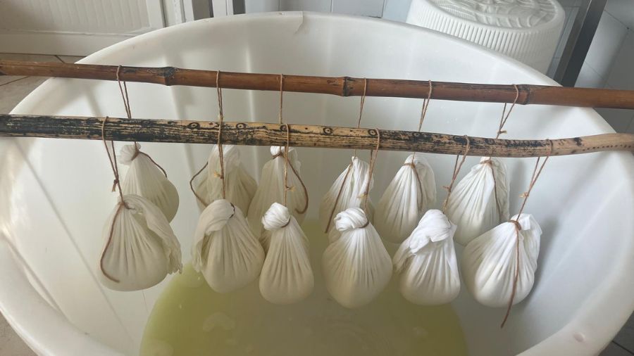 Ricotta-in-salvietta