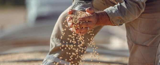 soia - agricoltore