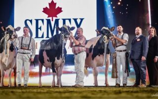 Cremona International Dairy Show 2025: ecco le vincitrici della razza Holstain