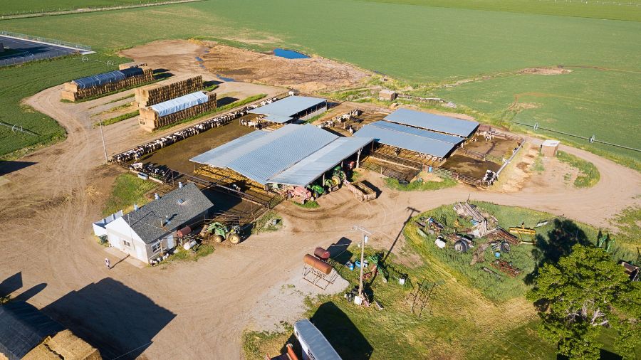 azienda-agricola-vista-aerea