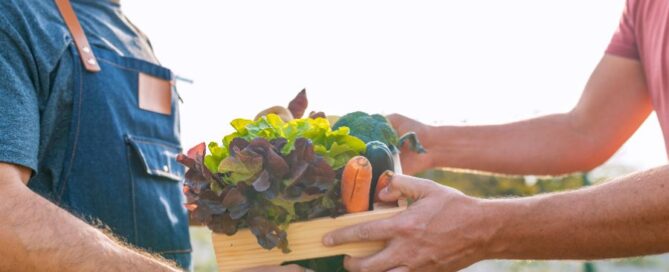mercato-contadino-alimenti