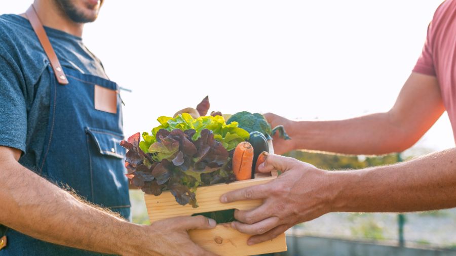 mercato-contadino-alimenti mercato-contadino-alimenti