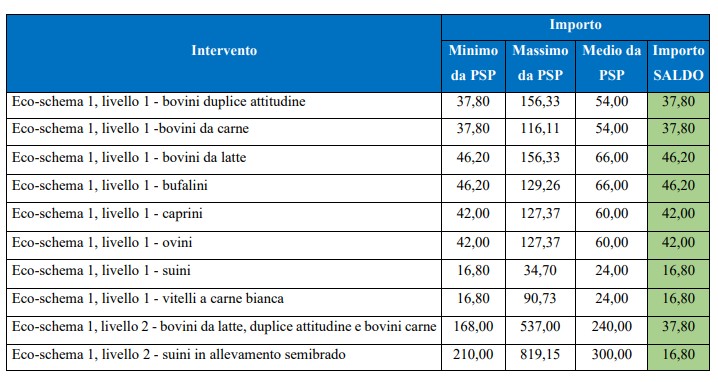importi ecoschema 1