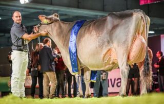 campionessa-Verona-2026