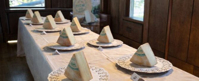Distretto-del-cibo-Fontina-Dop
