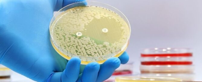 antibiotico resistenza