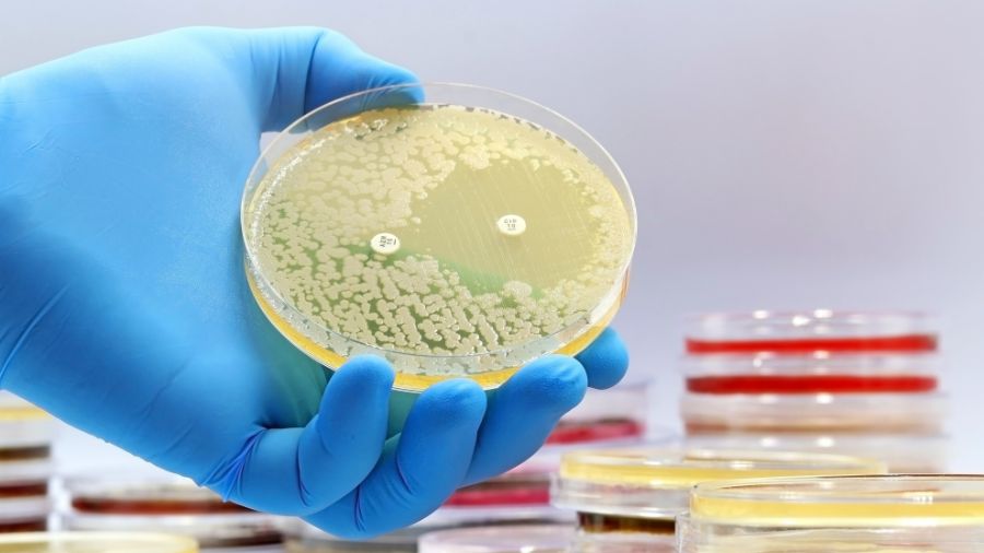 antibiotico resistenza antibiotico resistenza