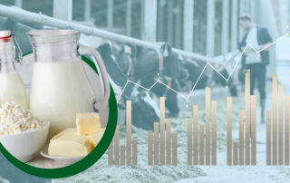 bovine-alimentazione-efficienza