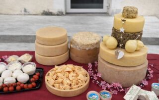 medio friuli
