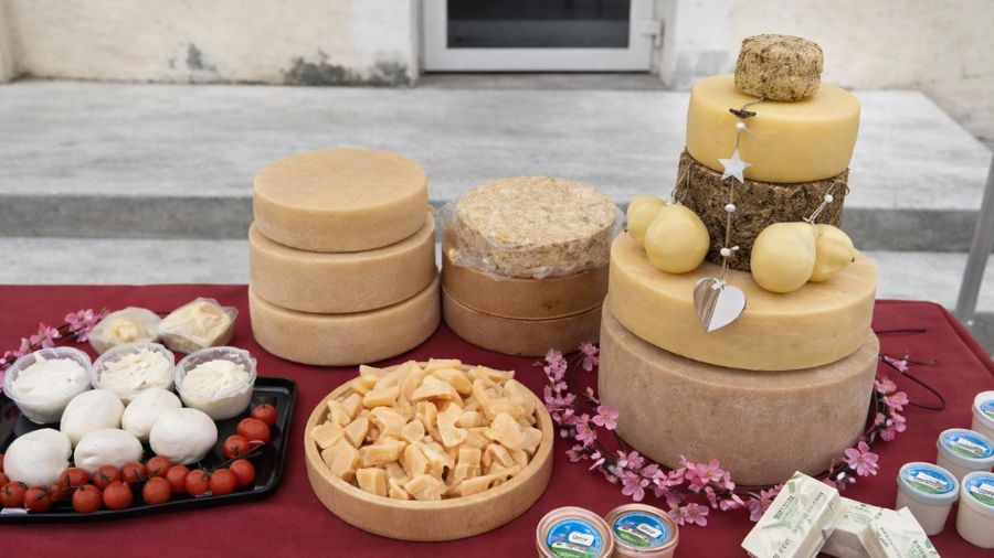 medio friuli medio friuli