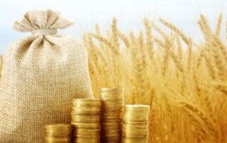 soldi-agricoltura-pac