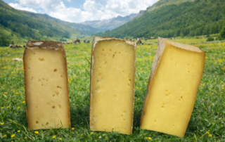 Fontina-DOP-degustazione-verticale