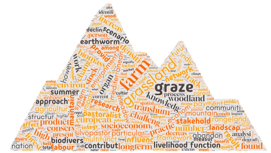 wordcloud