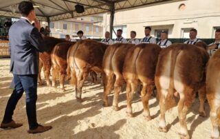 anacli-agriumbria-2026