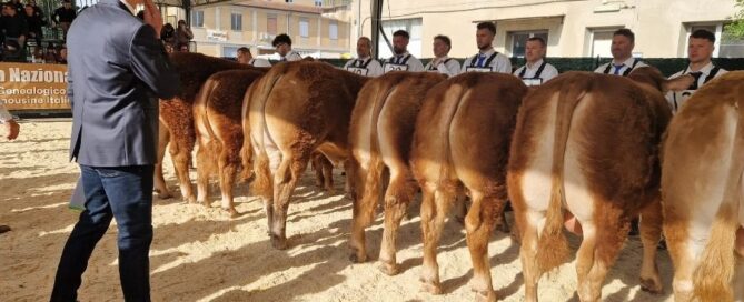 anacli-agriumbria-2026