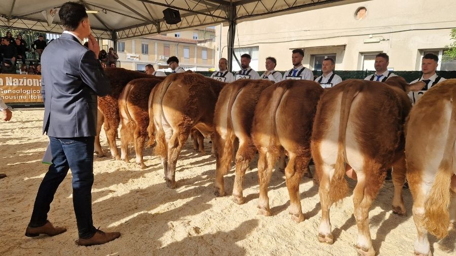 anacli-agriumbria-2026