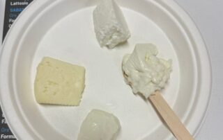 Formaggi_freschissimi_delattosati_degustazione