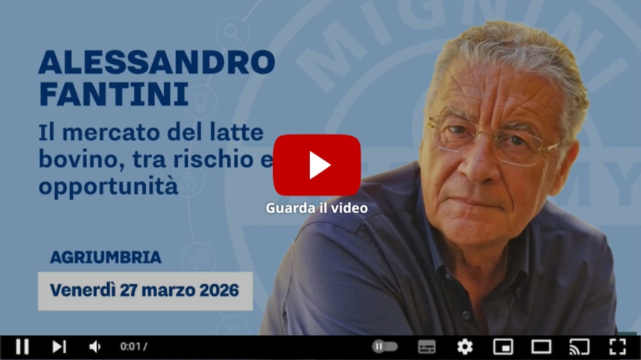 mercato-latte-youtube