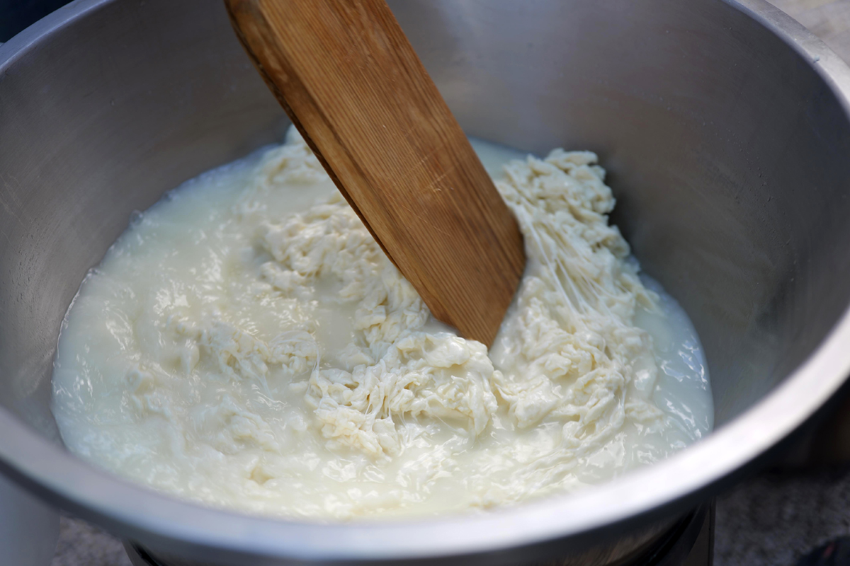 Provolone del Monaco Dop - cagliata