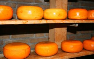 formaggio-cheddar