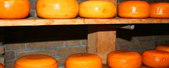 formaggio-cheddar