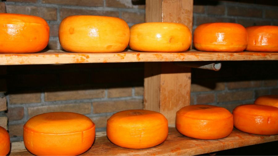 formaggio-cheddar formaggio-cheddar