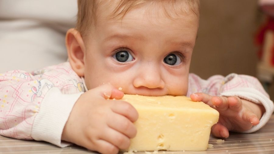 bambini-mangia-formaggio