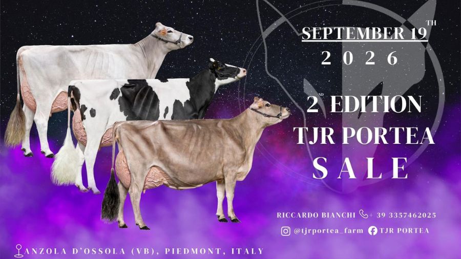 tjr porte sale