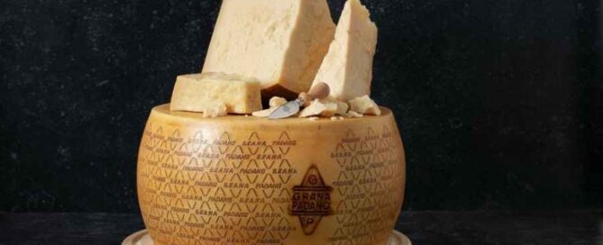 grana-padano-forma