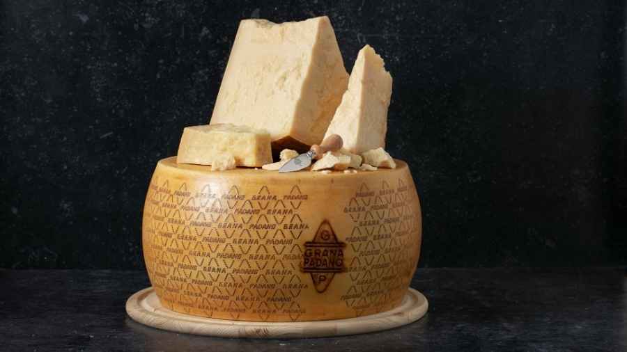 grana-padano-forma