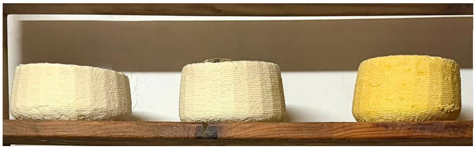 Figura 2. Formaggi sperimentali in stagionatura. Da sinistra a destra: formaggio controllo tipo Pecorino Siciliano; formaggio con polvere di sottoprodotti floreali dello zafferano; formaggio con stimmi di zafferano tipo Piacentinu Ennese.