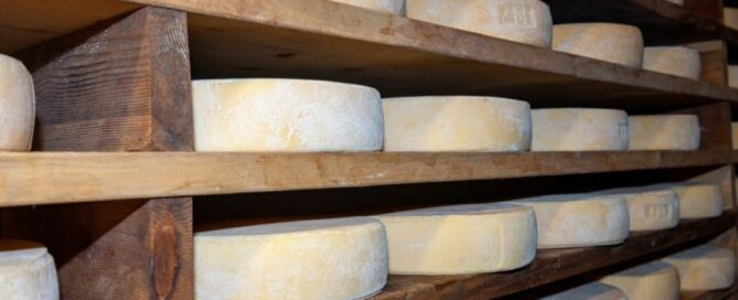 formaggio-ossolano