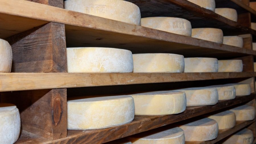 formaggio-ossolano