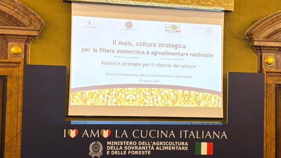 COPERTINE SILVIA (6)