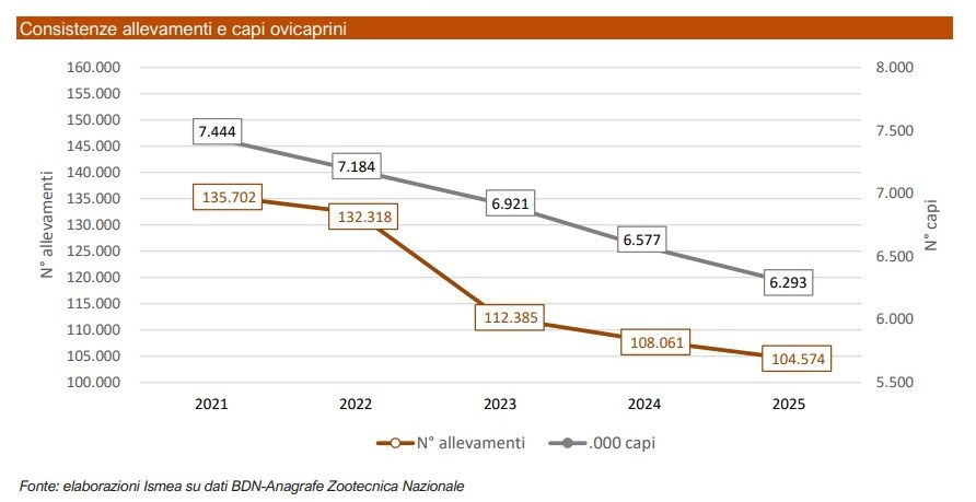 consistenze ovicaprini 2026