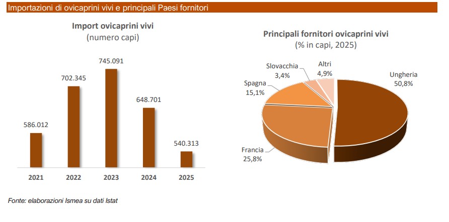 importazioni capi ovicaprini ismea 2026